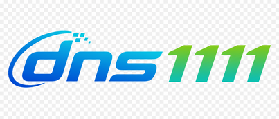 DNS1111